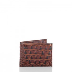 Men's Brahmin Bifold Wallets Pecan Melbourne | WNJT2298