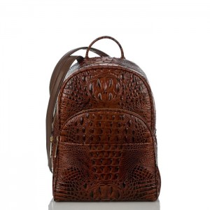 Men's Brahmin Dartmouth Backpack Backpacks Pecan Melbourne | ISJM2905