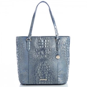 Women's Brahmin Abigail Tote Bags Serenity Ombre Melbourne | MFGL1516