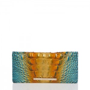 Women's Brahmin Ady Wallet Wallets Bermuda Ombre Melbourne | KGDW3099