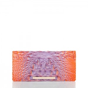 Women's Brahmin Ady Wallet Wallets Daiquiri Ombre Melbourne | TWTY5083