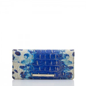 Women's Brahmin Ady Wallet Wallets Echo Ombre Melbourne | WFJY4306