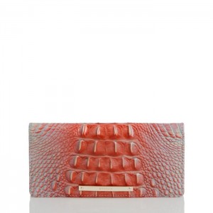 Women's Brahmin Ady Wallet Wallets Flirty Ombre Melbourne | XEMK0637