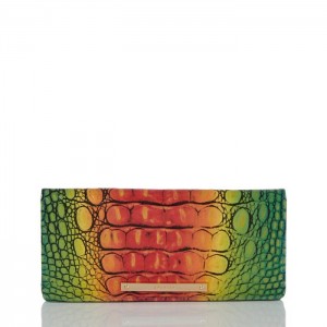 Women's Brahmin Ady Wallet Wallets Popsicle Ombre Melbourne | WJUO4073