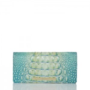 Women's Brahmin Ady Wallet Wallets Seafoam Ombre Melbourne | WRTU5548