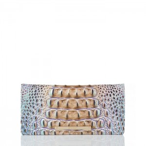 Women's Brahmin Ady Wallet Wallets Seltzer Ombre Melbourne | RPCT7582