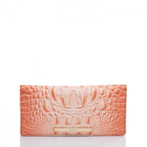 Women's Brahmin Ady Wallet Wallets Sherbert Ombre Melbourne | DUMV4768