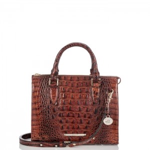 Women's Brahmin Anywhere Convertible Satchel Bags Pecan Melbourne | SVGY2779