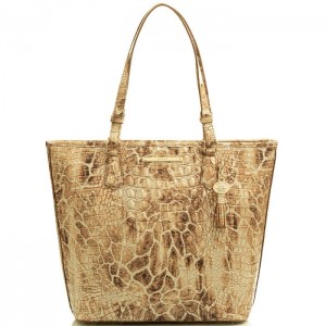 Women's Brahmin Asher Tote Bags Melbourne | HURI4136