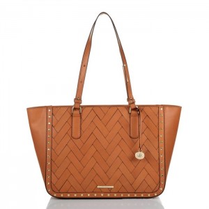 Women's Brahmin Ashlee Tote Bags Brown | PIQF6828