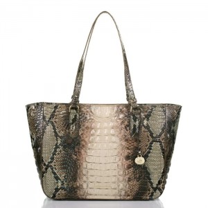 Women's Brahmin Ashlee Tote Bags Diamondback Ombre Melbourne | RPEG8385