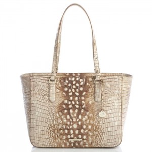 Women's Brahmin Ashlee Tote Bags Doe Ombre Melbourne | UBCQ1827