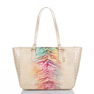 Women's Brahmin Ashlee Tote Bags Entice Ombre Melbourne | TOWR1105