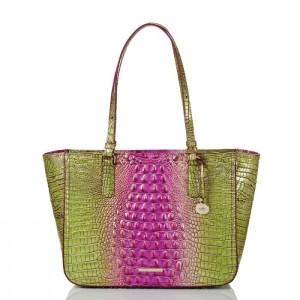 Women's Brahmin Ashlee Tote Bags Limeade Ombre Melbourne | HLHM9921