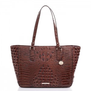 Women's Brahmin Ashlee Tote Bags Pecan Melbourne | GWGY6392