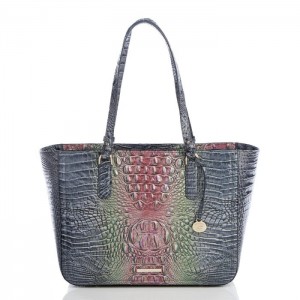 Women's Brahmin Ashlee Tote Bags Radiance Ombre Melbourne | RQIR8039