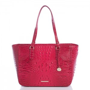 Women's Brahmin Ashlee Tote Bags Sweetheart Ombre Melbourne | WIET4418