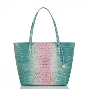 Women's Brahmin Brooke Tote Bags Cotton Candy Ombre Melbourne | LOLY6629