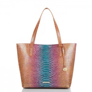 Women's Brahmin Brooke Tote Bags Multicolor | VEAP4468