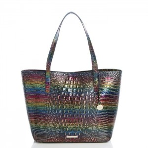 Women's Brahmin Brooke Tote Bags Technicolor Melbourne | HBLC0986