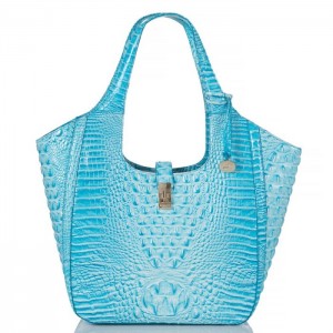 Women's Brahmin Carla Tote Bags Blue | KQEL8432