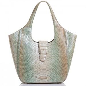 Women's Brahmin Carla Tote Bags Green | CJKC8773