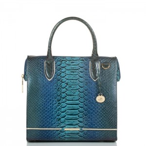 Women's Brahmin Caroline Satchel Bags Blue | MGWG4203