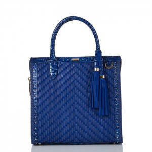 Women's Brahmin Caroline Satchel Bags Blue | JVPU5032