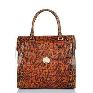 Women's Brahmin Caroline Satchel Bags Brown | KJJT0244