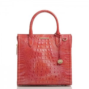 Women's Brahmin Caroline Satchel Bags Coral | DHLL0671