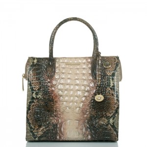 Women's Brahmin Caroline Satchel Bags Diamondback Ombre Melbourne | YFDZ8872