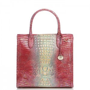 Women's Brahmin Caroline Satchel Bags Dragonfruit Ombre Mini Melbourne | AWJA5647