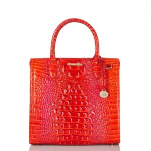 Women's Brahmin Caroline Satchel Bags Flame Melbourne | TEAH2028