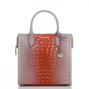 Women's Brahmin Caroline Satchel Bags Flirty Ombre Melbourne | ZLDN4080