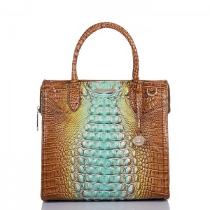 Women's Brahmin Caroline Satchel Bags Green | YPLL9616