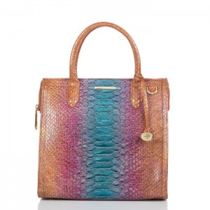 Women's Brahmin Caroline Satchel Bags Multicolor | CZLB1804