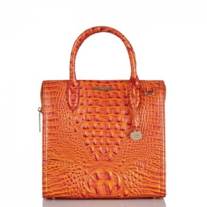 Women's Brahmin Caroline Satchel Bags Orange | NXLP8456