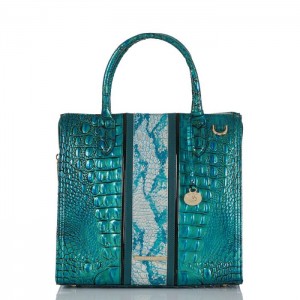 Women's Brahmin Caroline Satchel Bags Peacock | GPTP8722