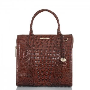 Women's Brahmin Caroline Satchel Bags Pecan Melbourne | FLPF6662