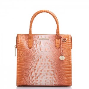 Women's Brahmin Caroline Satchel Bags Sherbert Ombre Melbourne | UJRP9670