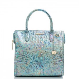 Women's Brahmin Caroline Satchel Bags Wonderland Melbourne | PRSS8719