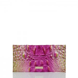 Women's Brahmin Cordelia Checkbook Wallets Limeade Ombre Melbourne | TXGM2446