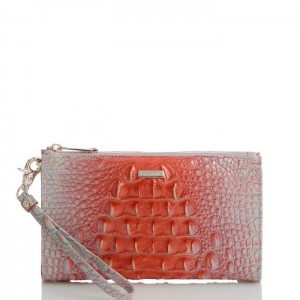 Women's Brahmin Daisy Wallets Flirty Ombre Melbourne | DPZI6263