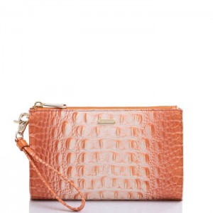 Women's Brahmin Daisy Wallets Sherbert Ombre Melbourne | XWPM9109