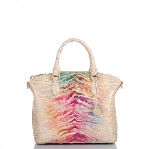 Women's Brahmin Duxbury Satchel Satchel Bags Entice Ombre Melbourne | OIJB2380