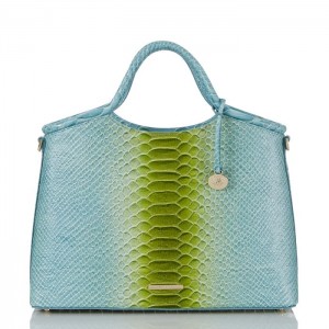 Women's Brahmin Elaine Satchel Bags Limeade Rivers | MIXG1404