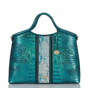 Women's Brahmin Elaine Satchel Bags Peacock | UADT4059