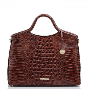 Women's Brahmin Elaine Satchel Bags Pecan Melbourne | FBNB9630