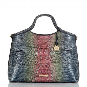 Women's Brahmin Elaine Satchel Bags Radiance Ombre Melbourne | BPFW8903