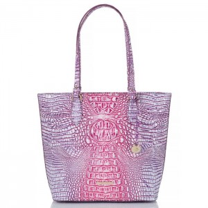 Women's Brahmin Ellen Tote Bags Boysenberry Ombre Melbourne | GWFB6628